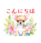 水彩感じるスタンプ チワワ（個別スタンプ：1）