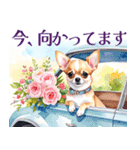 水彩感じるスタンプ チワワ（個別スタンプ：5）