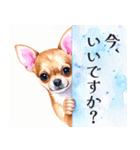 水彩感じるスタンプ チワワ（個別スタンプ：6）