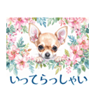 水彩感じるスタンプ チワワ（個別スタンプ：7）