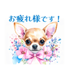 水彩感じるスタンプ チワワ（個別スタンプ：12）