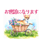 水彩感じるスタンプ チワワ（個別スタンプ：13）