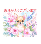 水彩感じるスタンプ チワワ（個別スタンプ：14）
