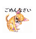 水彩感じるスタンプ チワワ（個別スタンプ：19）