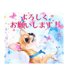 水彩感じるスタンプ チワワ（個別スタンプ：22）