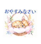 水彩感じるスタンプ チワワ（個別スタンプ：24）