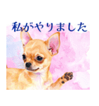 水彩感じるスタンプ チワワ（個別スタンプ：28）