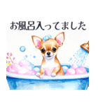 水彩感じるスタンプ チワワ（個別スタンプ：30）