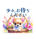 水彩感じるスタンプ チワワ（個別スタンプ：32）