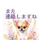 水彩感じるスタンプ チワワ（個別スタンプ：33）