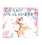 水彩感じるスタンプ チワワ（個別スタンプ：34）