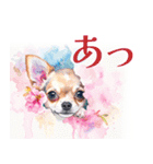 水彩感じるスタンプ チワワ（個別スタンプ：37）