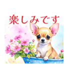 水彩感じるスタンプ チワワ（個別スタンプ：39）