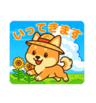 柴犬ムギの夏休み（個別スタンプ：1）