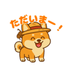 柴犬ムギの夏休み（個別スタンプ：2）