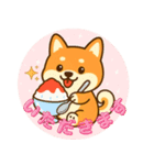 柴犬ムギの夏休み（個別スタンプ：4）