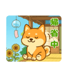 柴犬ムギの夏休み（個別スタンプ：5）