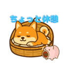 柴犬ムギの夏休み（個別スタンプ：7）