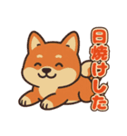 柴犬ムギの夏休み（個別スタンプ：8）