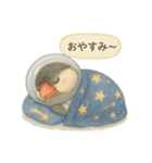 宇宙文鳥スタンプ♡ふわふわ水彩（個別スタンプ：2）
