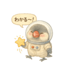 宇宙文鳥スタンプ♡ふわふわ水彩（個別スタンプ：7）