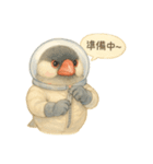 宇宙文鳥スタンプ♡ふわふわ水彩（個別スタンプ：12）