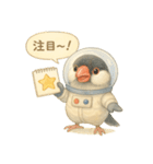 宇宙文鳥スタンプ♡ふわふわ水彩（個別スタンプ：15）