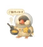 宇宙文鳥スタンプ♡ふわふわ水彩（個別スタンプ：17）