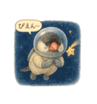 宇宙文鳥スタンプ♡ふわふわ水彩（個別スタンプ：18）