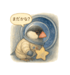 宇宙文鳥スタンプ♡ふわふわ水彩（個別スタンプ：20）