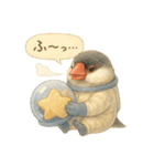 宇宙文鳥スタンプ♡ふわふわ水彩（個別スタンプ：21）