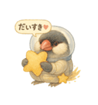 宇宙文鳥スタンプ♡ふわふわ水彩（個別スタンプ：22）