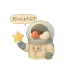 宇宙文鳥スタンプ♡ふわふわ水彩（個別スタンプ：25）