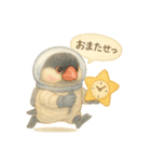 宇宙文鳥スタンプ♡ふわふわ水彩（個別スタンプ：30）