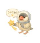 宇宙文鳥スタンプ♡ふわふわ水彩（個別スタンプ：31）