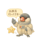 宇宙文鳥スタンプ♡ふわふわ水彩（個別スタンプ：33）
