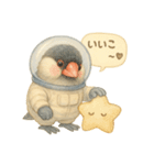 宇宙文鳥スタンプ♡ふわふわ水彩（個別スタンプ：35）