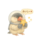 宇宙文鳥スタンプ♡ふわふわ水彩（個別スタンプ：36）