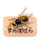 スマホの上のスズメバチ6《関西弁》（個別スタンプ：6）