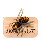 スマホの上のスズメバチ6《関西弁》（個別スタンプ：9）