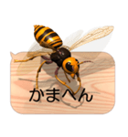 スマホの上のスズメバチ6《関西弁》（個別スタンプ：15）