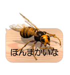 スマホの上のスズメバチ6《関西弁》（個別スタンプ：21）