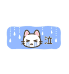 省スペース♪まいにちねこる（個別スタンプ：31）