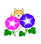 夏の日常＊しばいぬくんの毎日（個別スタンプ：2）