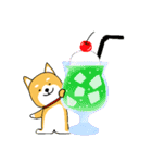 夏の日常＊しばいぬくんの毎日（個別スタンプ：6）