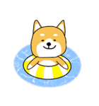 夏の日常＊しばいぬくんの毎日（個別スタンプ：14）