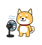 夏の日常＊しばいぬくんの毎日（個別スタンプ：30）