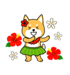 夏の日常＊しばいぬくんの毎日（個別スタンプ：40）