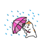 梅雨のにぎやかなミケネコ（個別スタンプ：10）