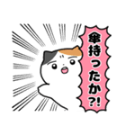 梅雨のにぎやかなミケネコ（個別スタンプ：15）
